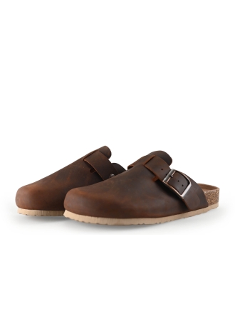 Colors of California Muiltjes Bruin 318270