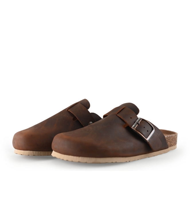 Colors of California Muiltjes