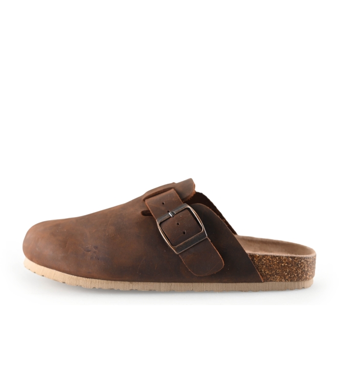 Colors of California Muiltjes