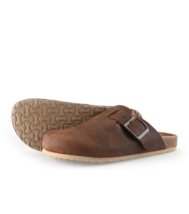 Colors of California Muiltjes