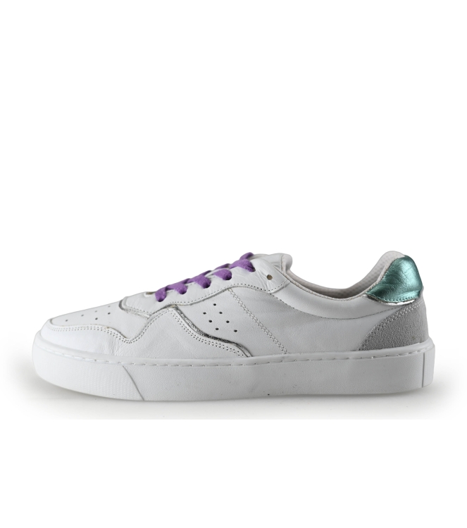 Colors of California Sneakers