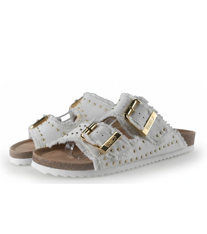 Colors of California Muiltjes