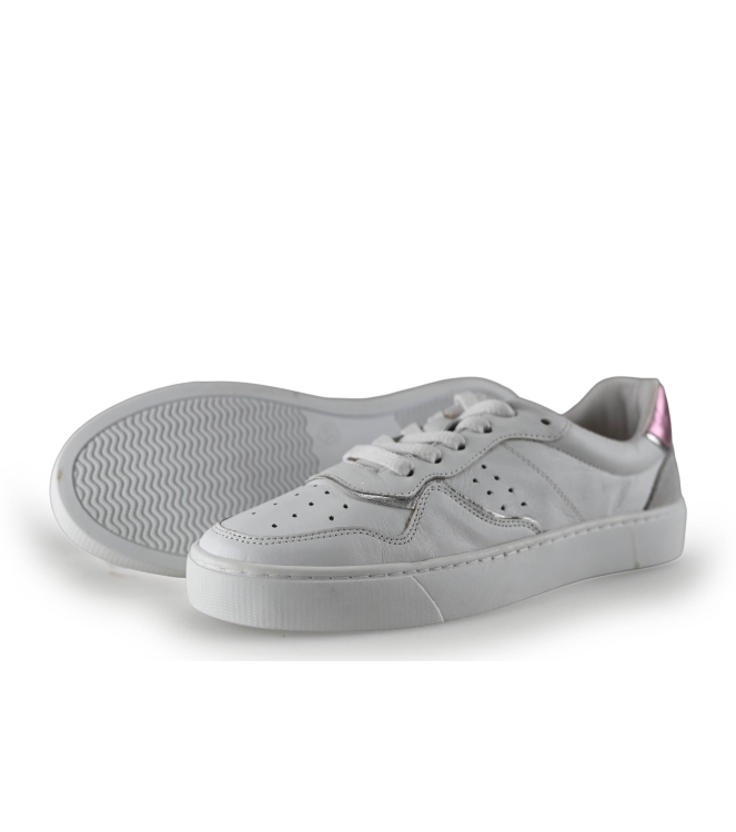 Colors of California Sneakers