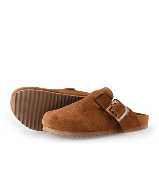 Colors of California Muiltjes