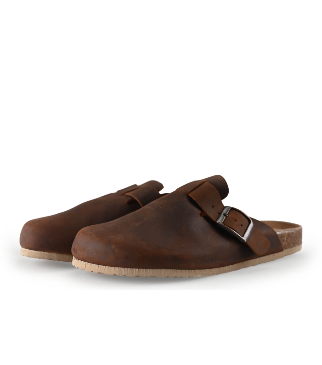 Colors of California Muiltjes