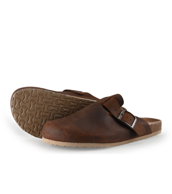 Colors of California Muiltjes