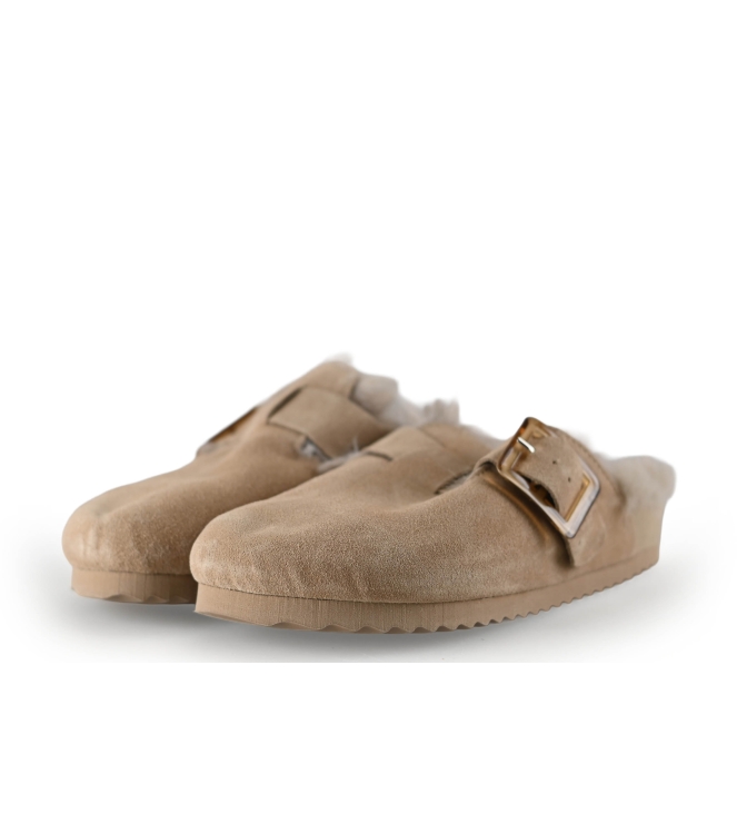 Colors of California Muiltjes