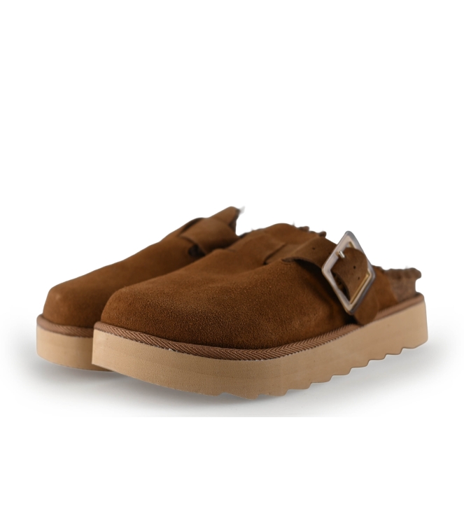 Colors of California Muiltjes