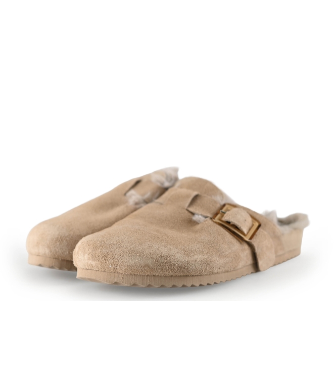 Colors of California Muiltjes