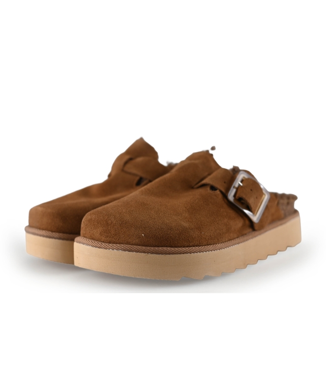 Colors of California Muiltjes