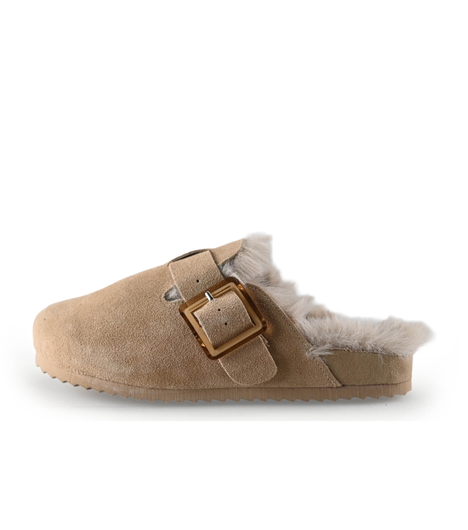 Colors of California Muiltjes