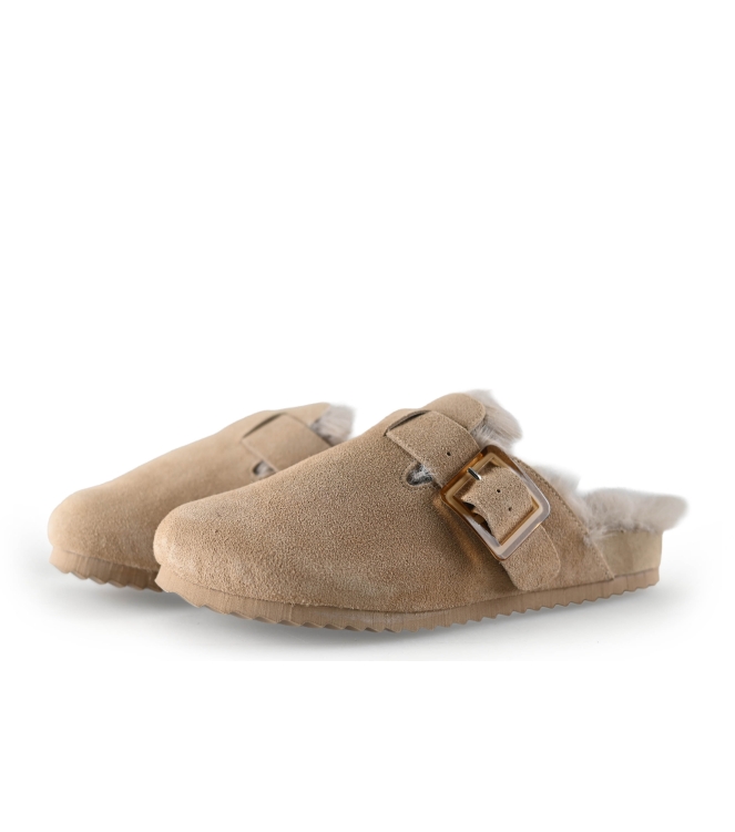 Colors of California Muiltjes