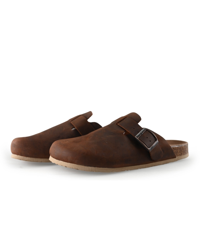 Colors of California Muiltjes