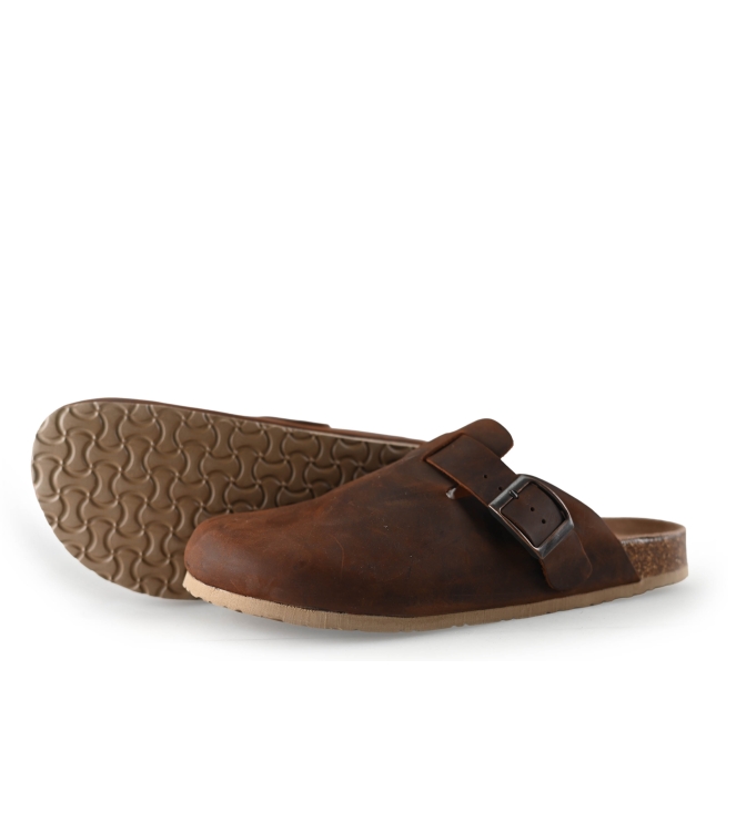 Colors of California Muiltjes