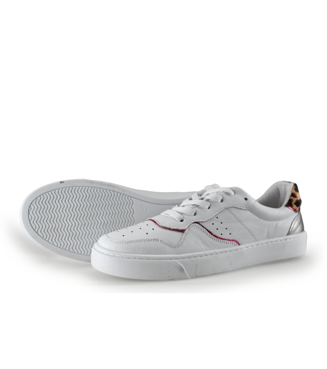 Colors of California Sneakers