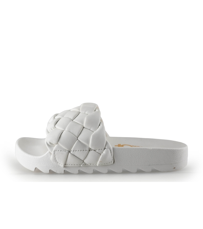 Colors of California Muiltjes