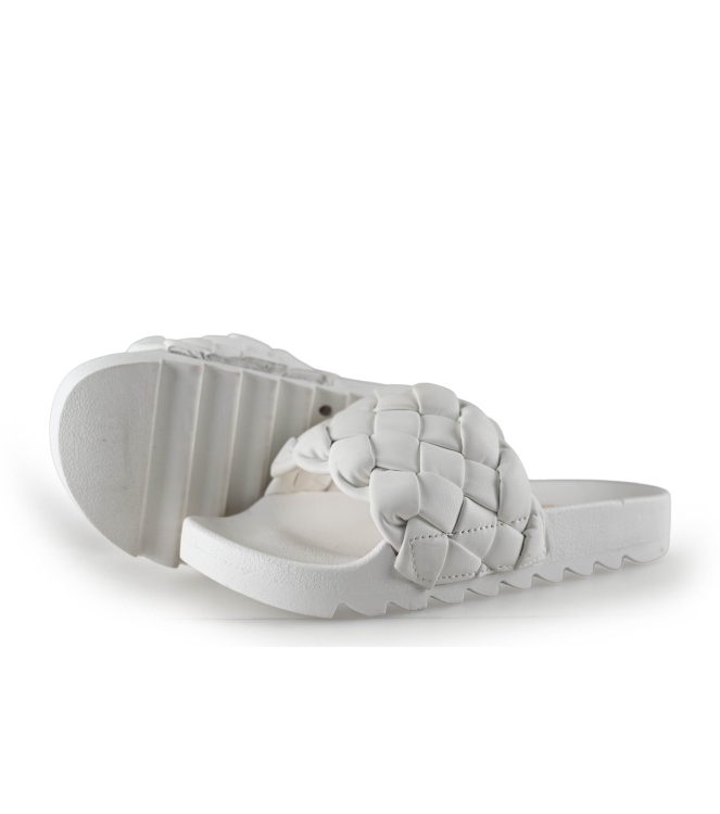 Colors of California Muiltjes