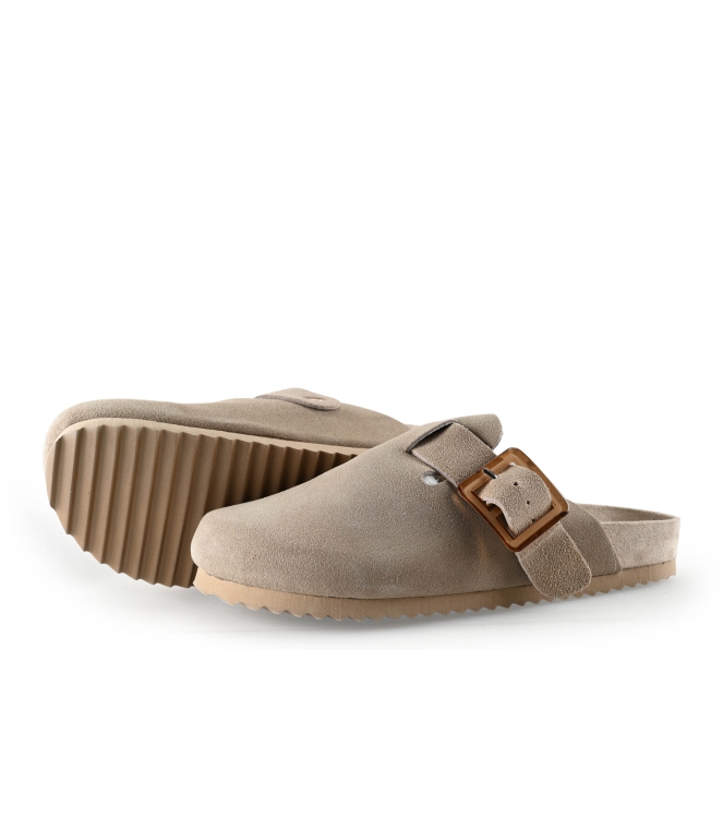 Colors of California Muiltjes