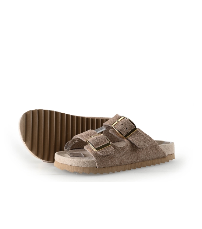 Colors of California Muiltjes