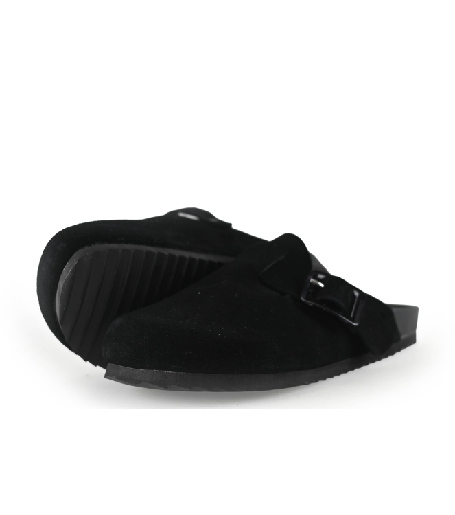 Colors of California Muiltjes