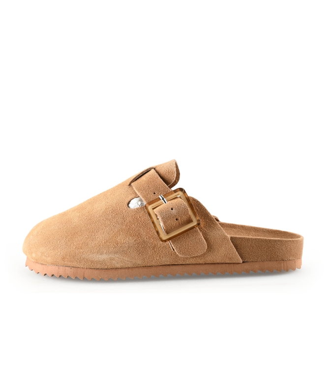 Colors of California Muiltjes