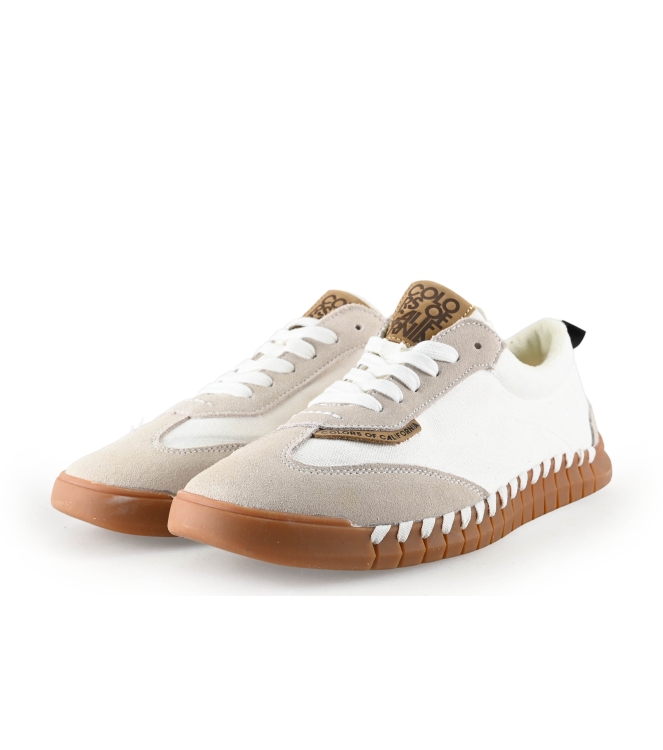 Colors of California Sneakers