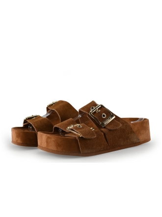 Colors of California Muiltjes Bruin 322641