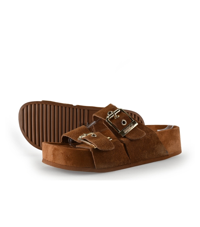 Colors of California Muiltjes