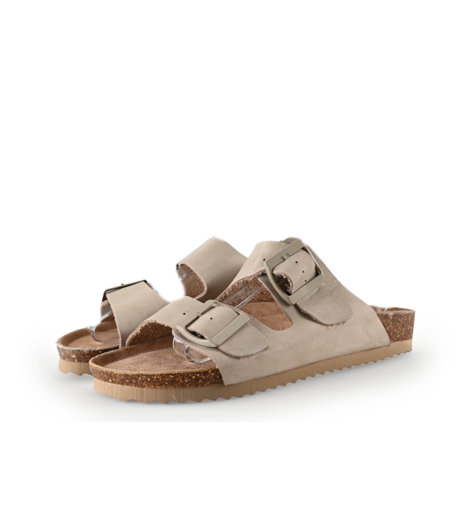 Colors of California Muiltjes