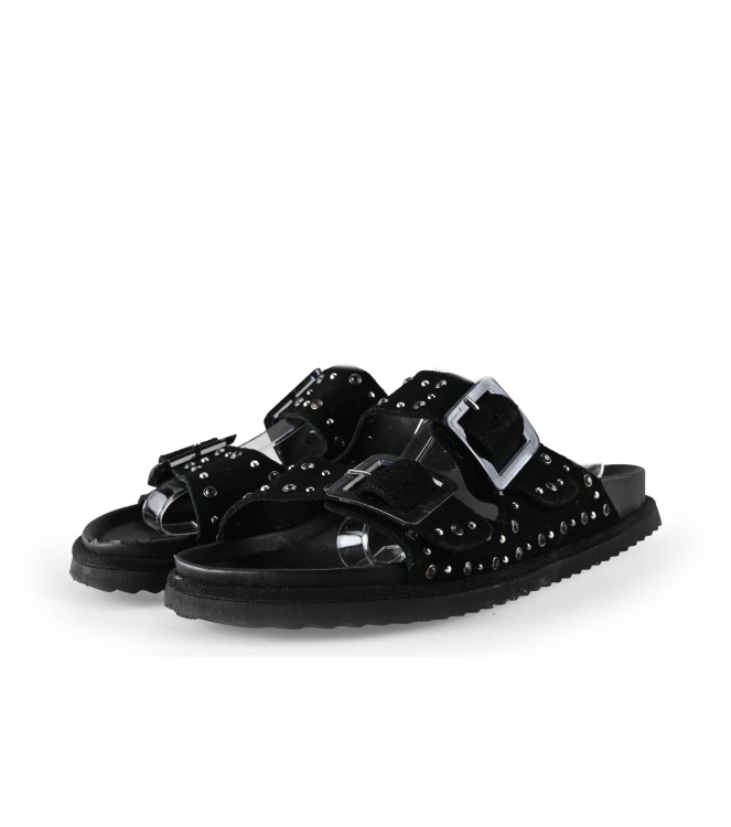 Colors of California Muiltjes