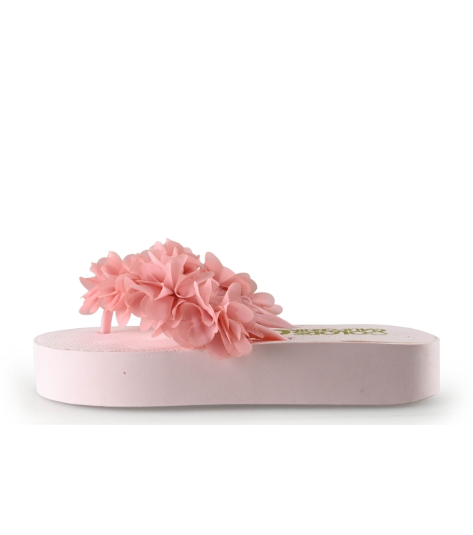 Colors of California Slippers