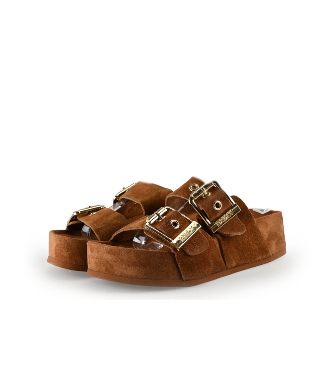 Colors of California Muiltjes