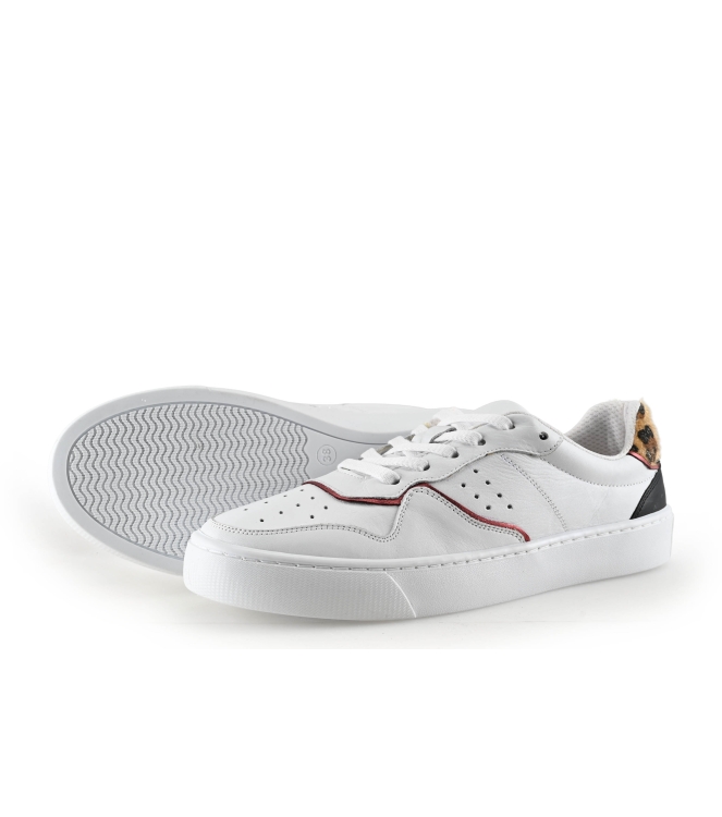 Colors of California Sneakers