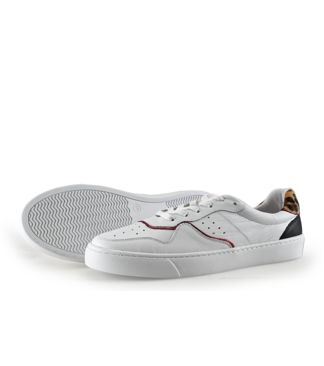 Colors of California Sneakers