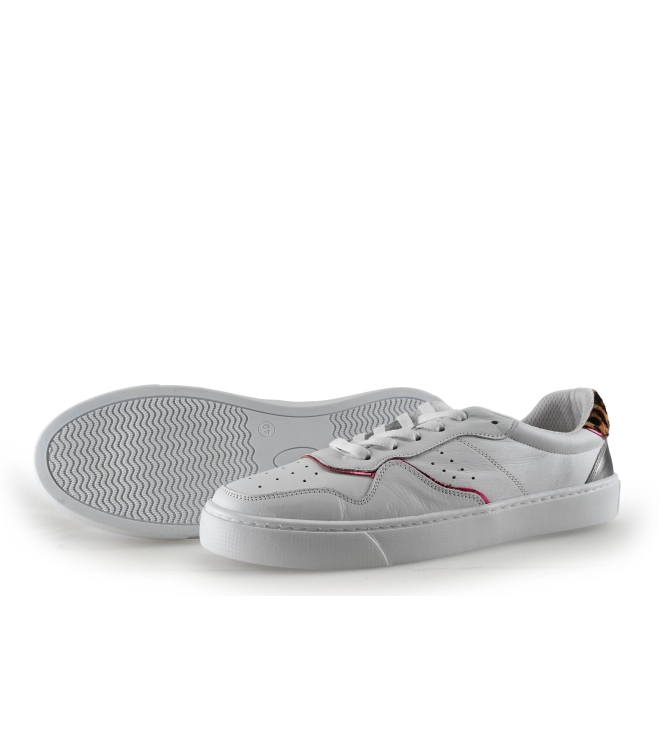 Colors of California Sneakers