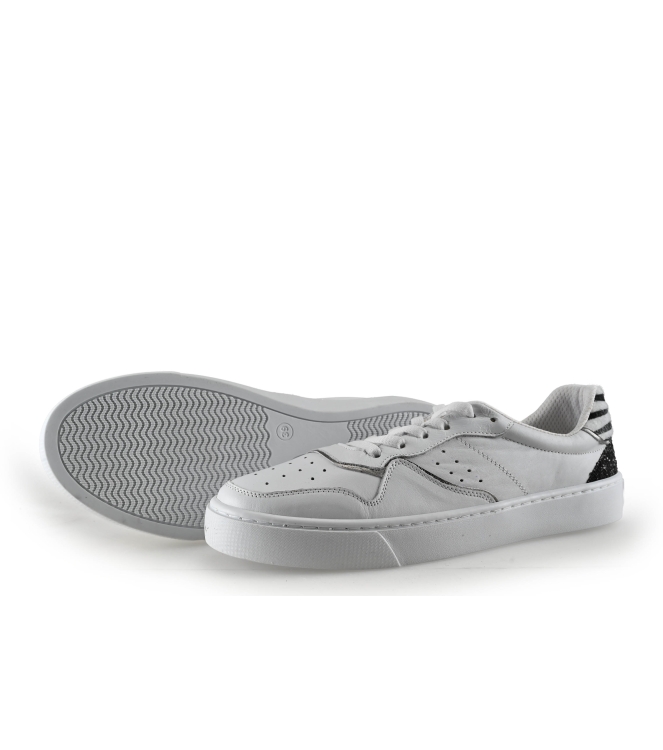 Colors of California Sneakers