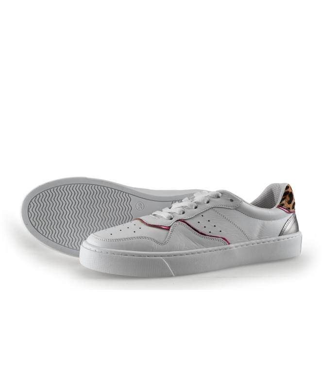 Colors of California Sneakers