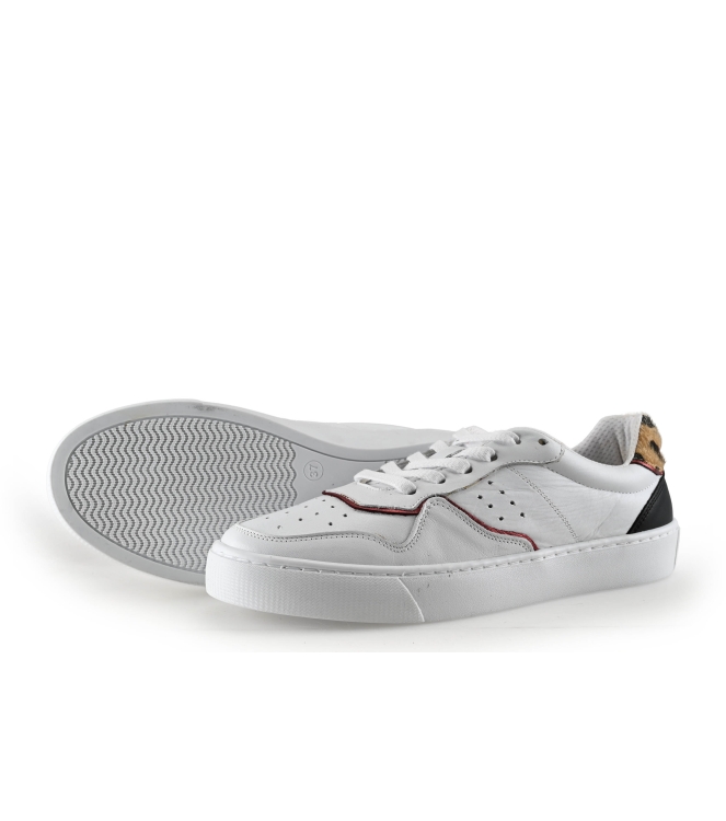 Colors of California Sneakers