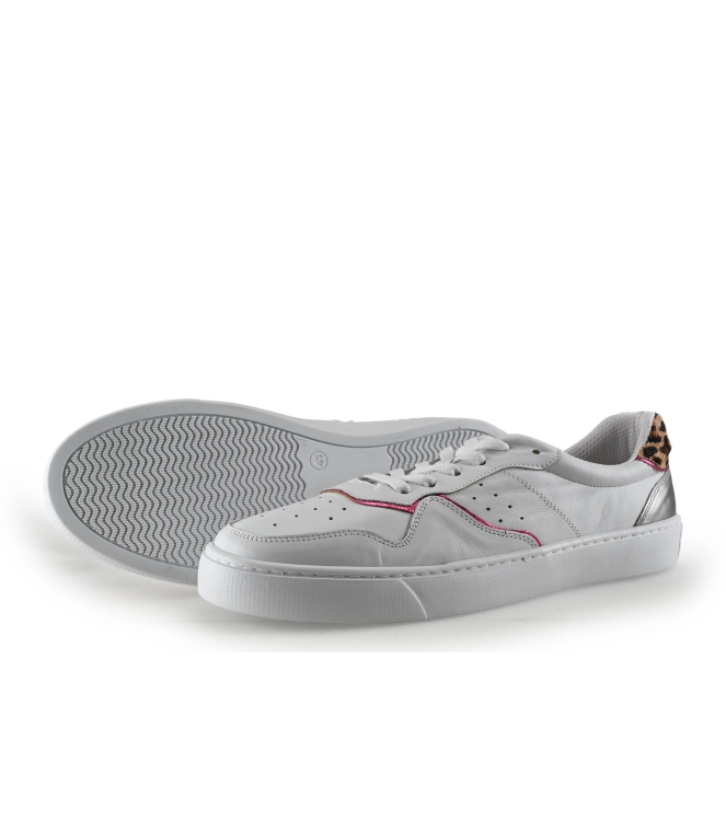 Colors of California Sneakers