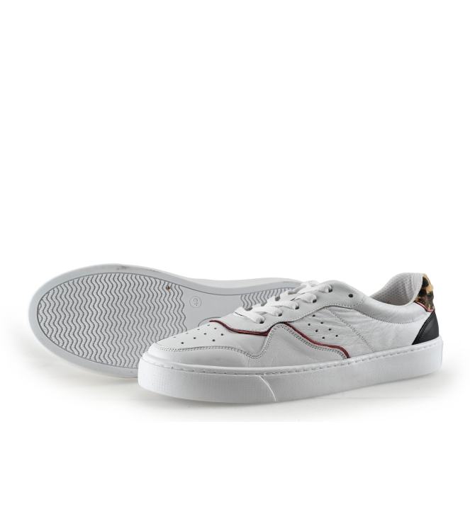 Colors of California Sneakers