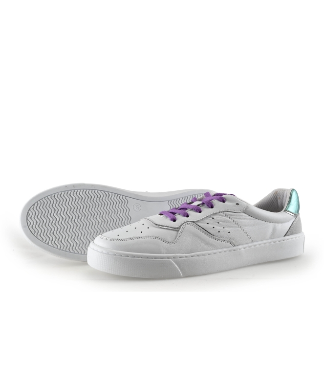 Colors of California Sneakers