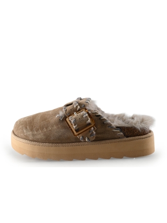 Colors of California Pantoffels Bruin 325285
 Maat 36
 