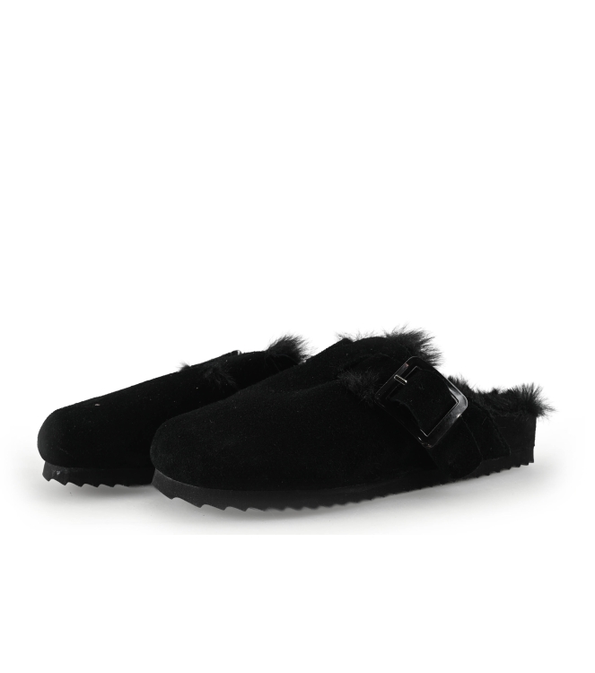 Colors of California Muiltjes