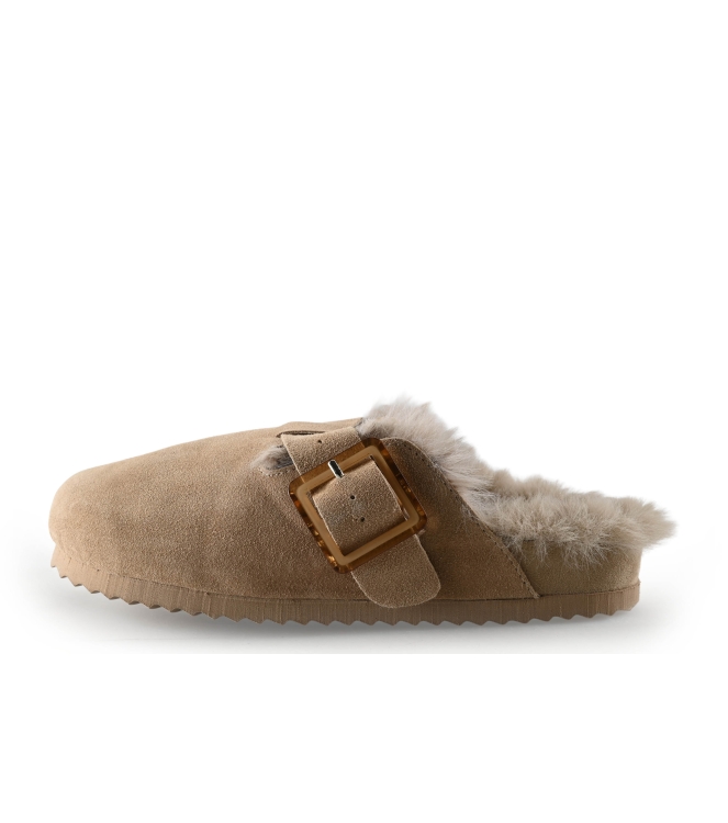 Colors of California Muiltjes