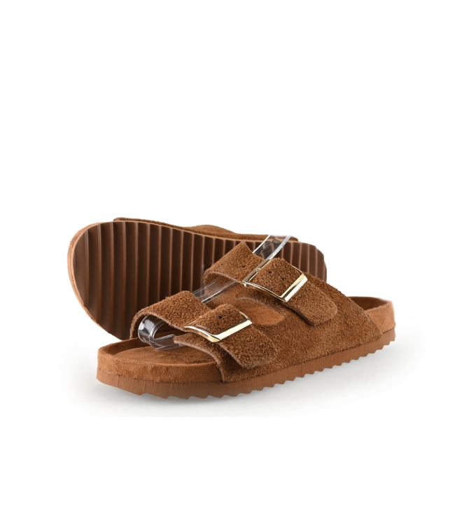 Colors of California Muiltjes