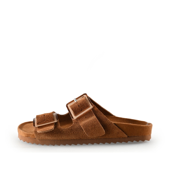 Colors of California Muiltjes