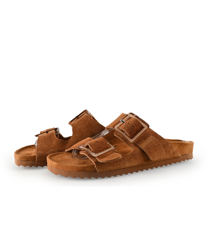 Colors of California Muiltjes