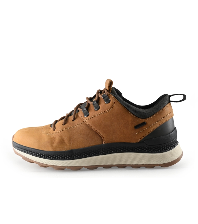 Geox Sneakers