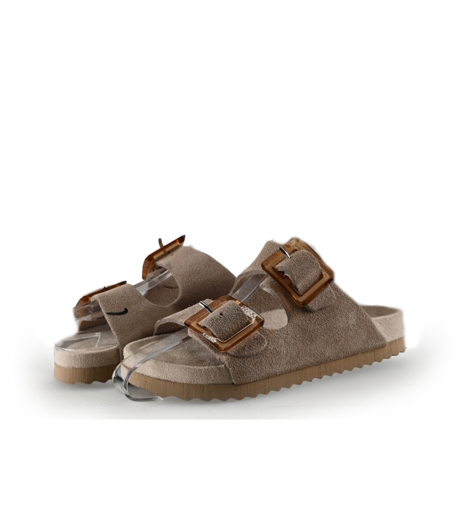 Colors of California Muiltjes