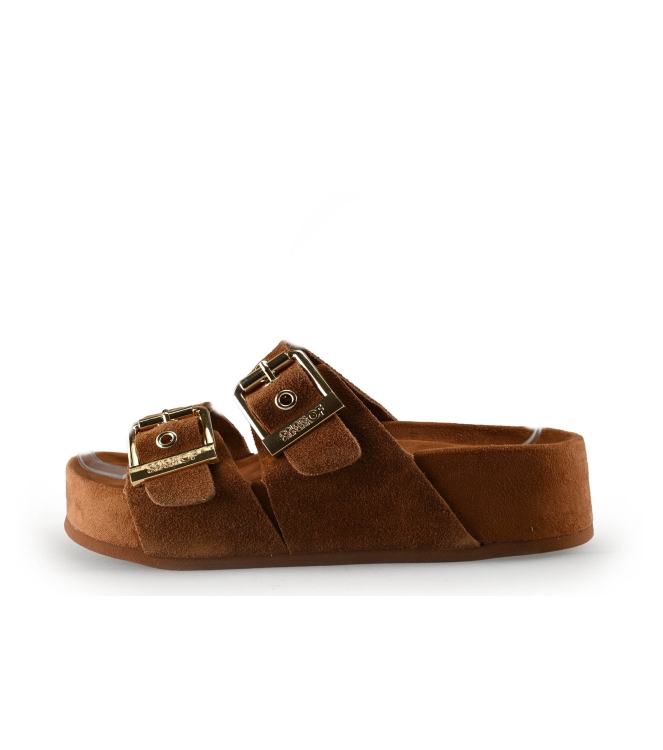 Colors of California Muiltjes